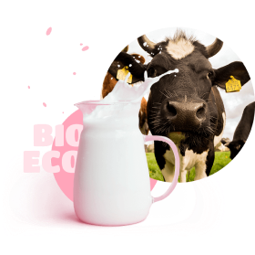 Cow and Bio Eco milk